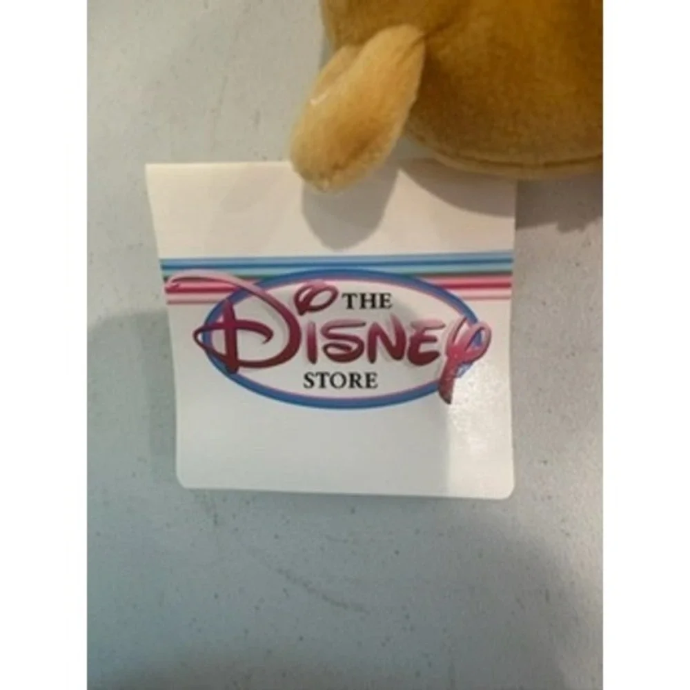 Disney Winnie‎ the Pooh Hanukkah & Picnic 8